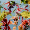 Colorful flowers and leaves floating against a blue background.