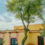 Vibrant colonial street scene in Toluca, showcasing architecture and nature.