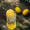 A cool citrus beverage with ice and a dried citrus garnish, set outdoors on a rustic wooden table.