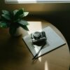 Vintage camera and plant on wooden table with sunlight.