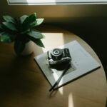 Vintage camera and plant on wooden table with sunlight.
