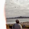A person watches birds flying over a beach and ocean.