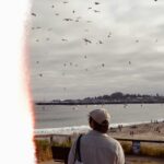 A person watches birds flying over a beach and ocean.