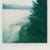Misty lake shore with pine trees and grassy bank