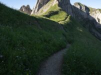 A winding path leads through green mountains to jagged peaks.