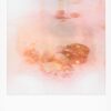 Soft focus polaroid with dark, textured elements.