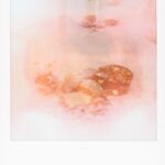 Soft focus polaroid with dark, textured elements.