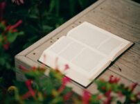 Open book on wooden surface surrounded by flowers